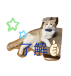 なっちゃんスタンプ02（個別スタンプ：8）