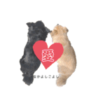COCOPICO❤︎（個別スタンプ：11）