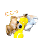 COCOPICO❤︎（個別スタンプ：29）