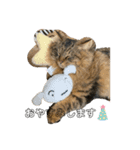ぽぽとぴか（個別スタンプ：8）