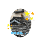ぽぽとぴか（個別スタンプ：9）