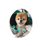 猫と犬と花（個別スタンプ：6）