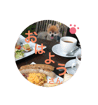 猫と犬と花（個別スタンプ：9）