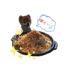 猫と犬と花（個別スタンプ：25）