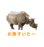 どうぶつさんからひとこと（個別スタンプ：5）