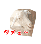 どうぶつさんからひとこと（個別スタンプ：8）