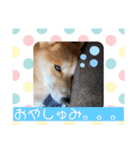 はしもとけのももたろう。（個別スタンプ：3）