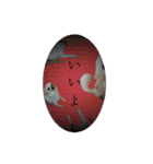 ごきげんドッグ（個別スタンプ：7）