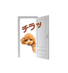 ねねちゃんの 大冒険！！（個別スタンプ：4）