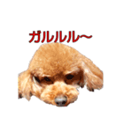 ねねちゃんの 大冒険！！（個別スタンプ：8）