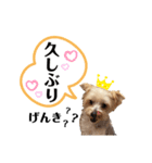 ゆぃちゃん♡（個別スタンプ：3）