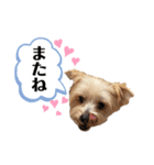 ゆぃちゃん♡（個別スタンプ：4）