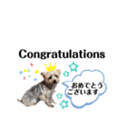 ゆぃちゃん♡（個別スタンプ：5）
