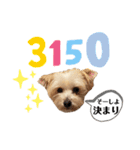 ゆぃちゃん♡（個別スタンプ：11）