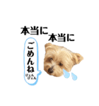 ゆぃちゃん♡（個別スタンプ：12）