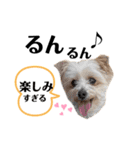 ゆぃちゃん♡（個別スタンプ：15）