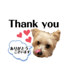 ゆぃちゃん♡（個別スタンプ：16）