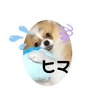 ほぼ…ぷく（個別スタンプ：3）