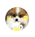 ほぼ…ぷく（個別スタンプ：4）