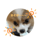 ほぼ…ぷく（個別スタンプ：6）