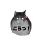 cat×3♡,ねこねこねこ（個別スタンプ：19）