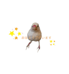 僕とうさぎと君と（個別スタンプ：1）