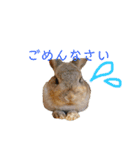 僕とうさぎと君と（個別スタンプ：6）