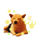 僕とうさぎと君と（個別スタンプ：10）