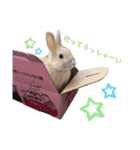 僕とうさぎと君と（個別スタンプ：12）