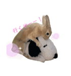 僕とうさぎと君と（個別スタンプ：14）