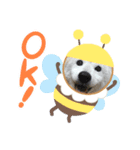 柴犬 もこむぎ（個別スタンプ：2）