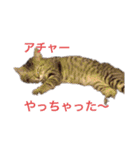 ナイスフェイス百面相（個別スタンプ：10）
