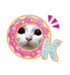 猫 マンチカン Ⅳ（個別スタンプ：24）