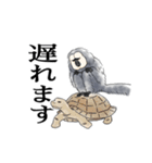 ひとことシロガオサキ（個別スタンプ：3）
