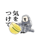 ひとことシロガオサキ（個別スタンプ：4）
