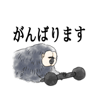 ひとことシロガオサキ（個別スタンプ：6）
