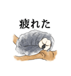 ひとことシロガオサキ（個別スタンプ：9）