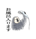 ひとことシロガオサキ（個別スタンプ：10）