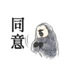 ひとことシロガオサキ（個別スタンプ：13）