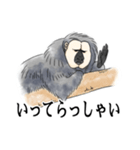 ひとことシロガオサキ（個別スタンプ：14）