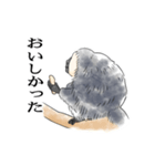 ひとことシロガオサキ（個別スタンプ：16）