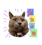 ロワくんとノルくんの仲良しタイムズ（個別スタンプ：1）