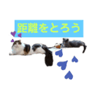 ロワくんとノルくんの仲良しタイムズ（個別スタンプ：3）