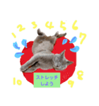 ロワくんとノルくんの仲良しタイムズ（個別スタンプ：4）