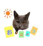 ロワくんとノルくんの仲良しタイムズ（個別スタンプ：9）