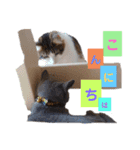 ロワくんとノルくんの仲良しタイムズ（個別スタンプ：10）