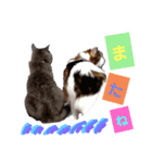 ロワくんとノルくんの仲良しタイムズ（個別スタンプ：16）