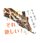 あにまるず。ぱーと4。（個別スタンプ：11）