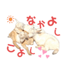 あにまるず。ぱーと4。（個別スタンプ：15）