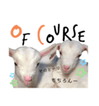 あにまるず。ぱーと4。（個別スタンプ：16）